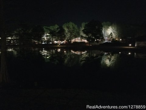 Beautiful Night Photo of reflection in pond