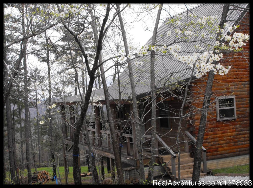 Dogwood Cabin | Deer Lodge  Secluded Log Cabin Rentals | Image #2/3 | 