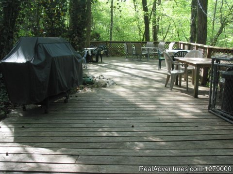 The Back Deck