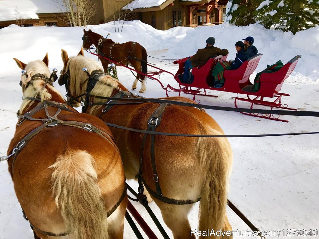 Sleigh rides, sking, tubing and more winter fun | Vista Verde Guest Ranch | Image #10/10 | 