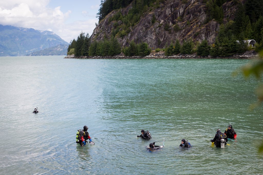 Diving At Porteau Cove | Vancouver Diving Locker | Image #2/3 | 
