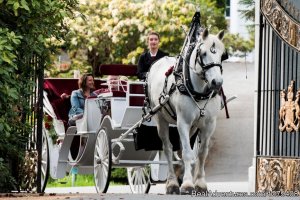 Private Horse-Drawn Carriage Tour | Victoria, British Columbia | Sight-Seeing Tours