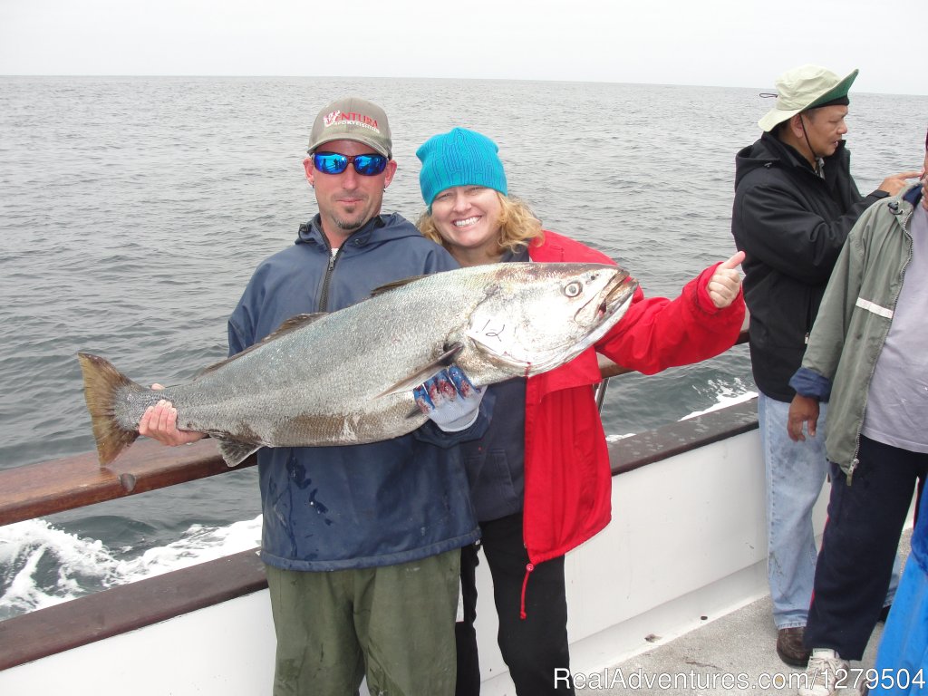 White Sea Bass | Big Mike's Fishing Charters | Image #4/7 | 