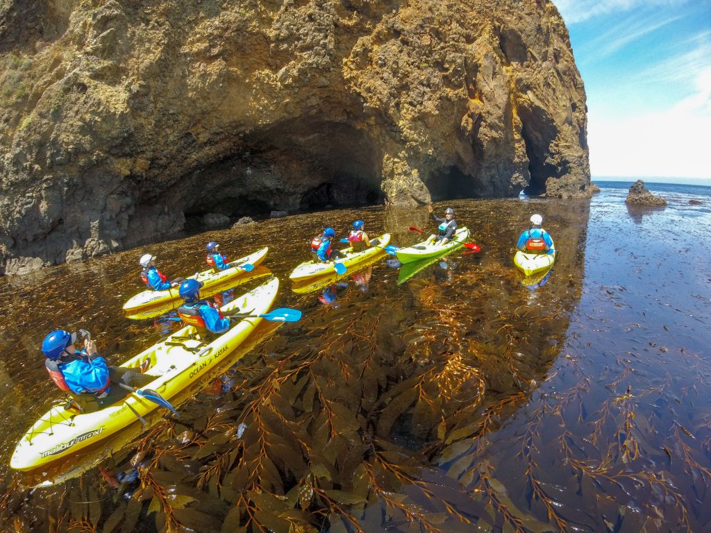Santa Barbara Adventure Company | Santa Barbara, California  | Kayaking & Canoeing | Image #1/8 | 
