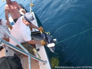 Babu Sport Fishing Charters | Brigantine, New Jersey | Fishing Trips