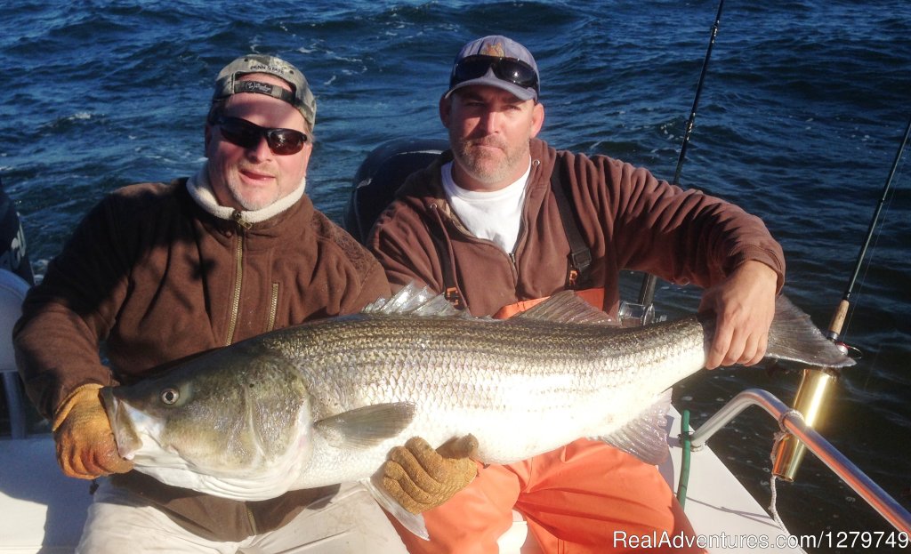 49.5 Inch Striper | Babu Sport Fishing Charters | Image #2/3 | 