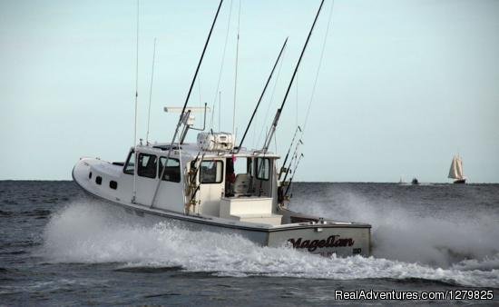 Cape Cod fishing charters with Magellan | Image #6/6 | 