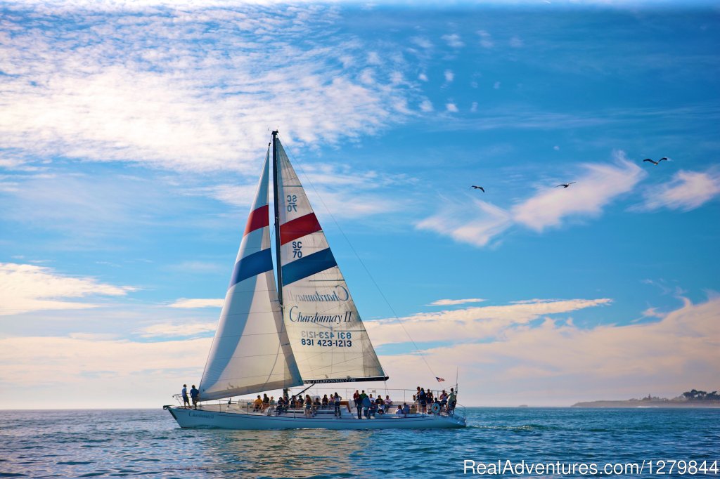 Chardonnay Sailing Charters | Santa Cruz, California  | Sailing | Image #1/7 | 