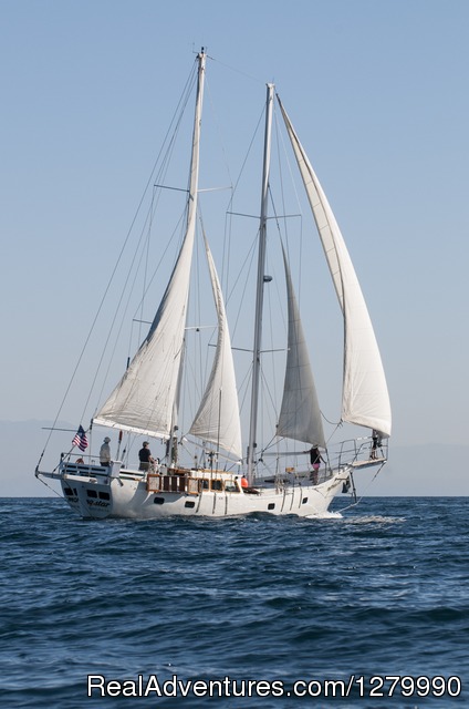 Adventure Sailing Charters Sailing Yacht Morning Star