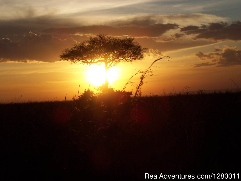 SunSet | African Safaris (Kenya & Tanzania) | Image #3/10 | 