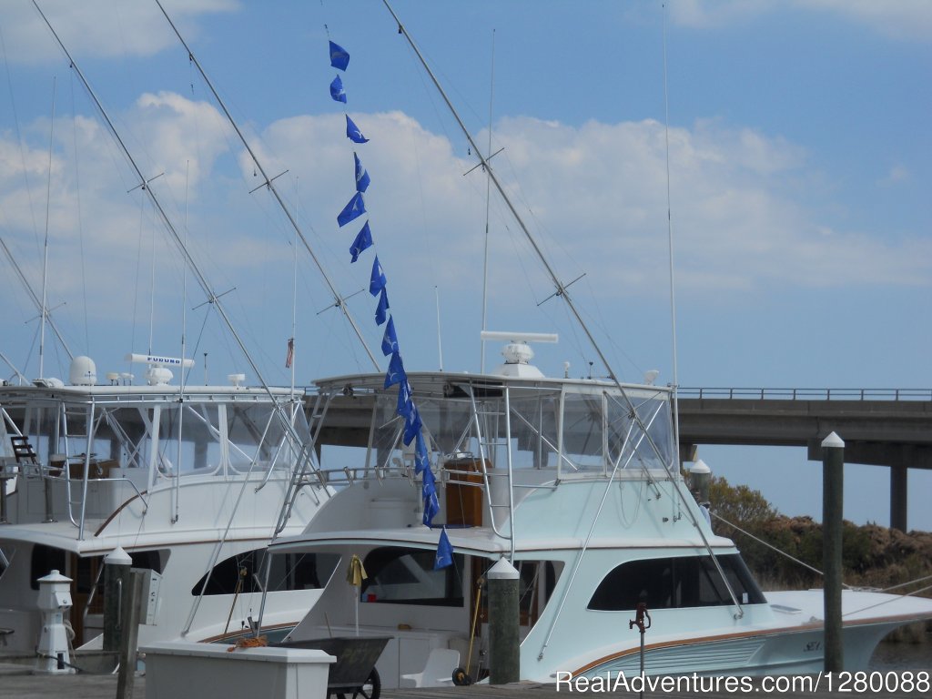 September White Marlin Fishing | Wicked Tuna charters Gaint Bluefin Tuna | Image #4/6 | 