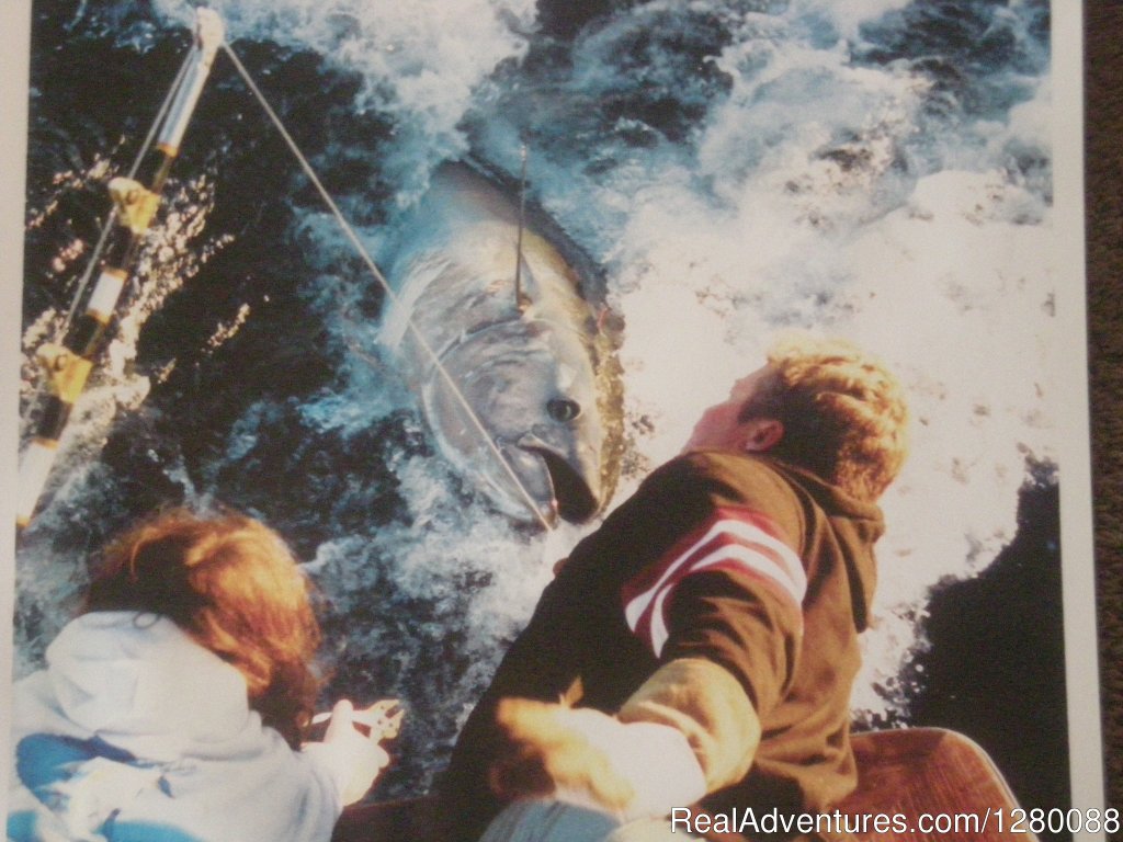 Gaint Bluefin Tuna | Wicked Tuna charters Gaint Bluefin Tuna | Image #5/6 | 