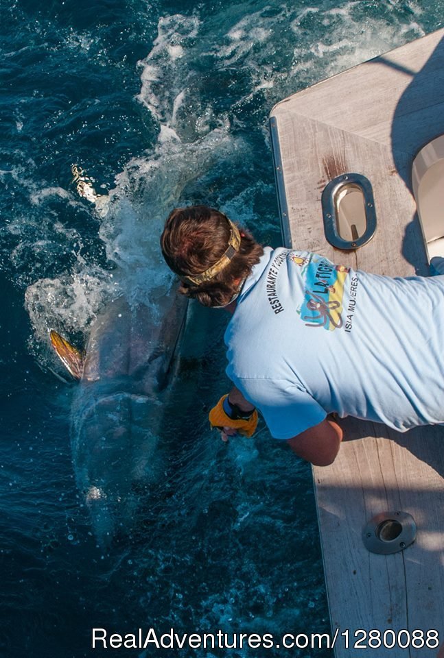 William Combs wires a nice one. | Wicked Tuna charters Gaint Bluefin Tuna | Image #6/6 | 