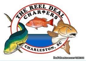 The Reel Deal Charters | Charleston, South Carolina | Eco Tours