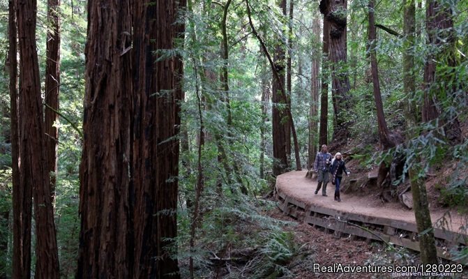 Muir Woods and Wine Country Tour | Incredible Adventures | Image #15/18 | 