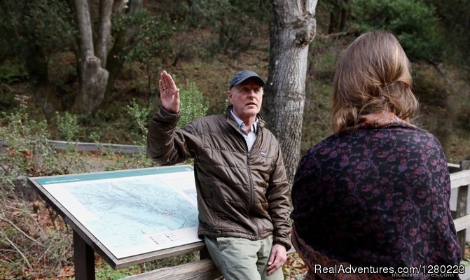 Muir Woods and Wine Country Tour | Incredible Adventures | Image #12/18 | 