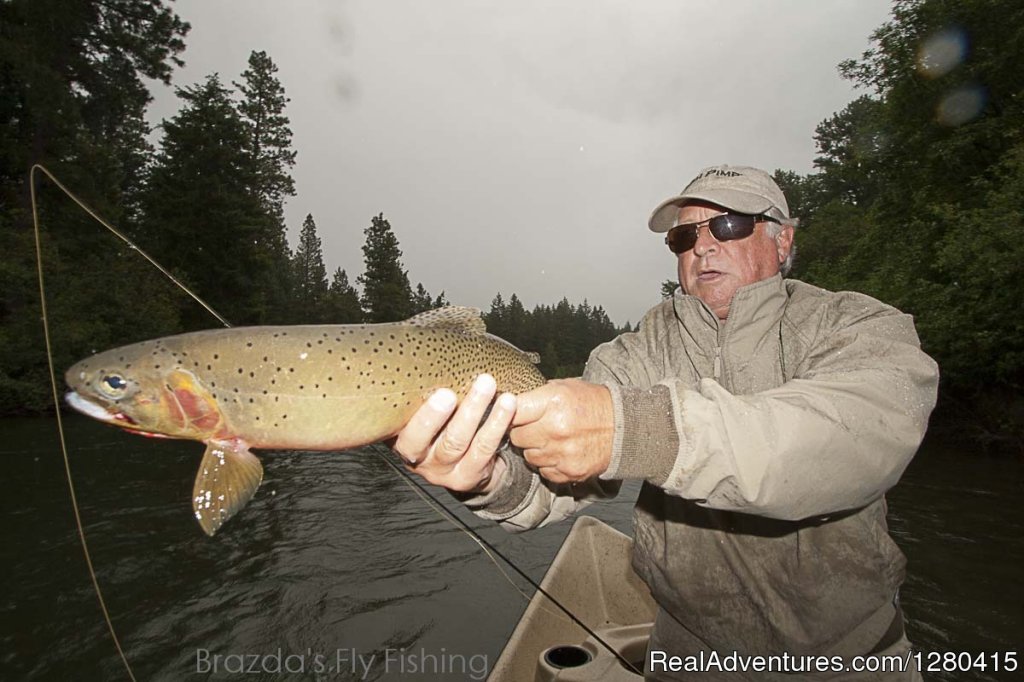 Brazda's Fly Fishing, scenic trout fishing trips. | Image #9/15 | 