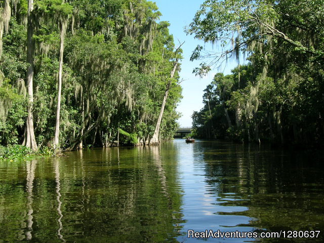 Premier Boat Tours Photo