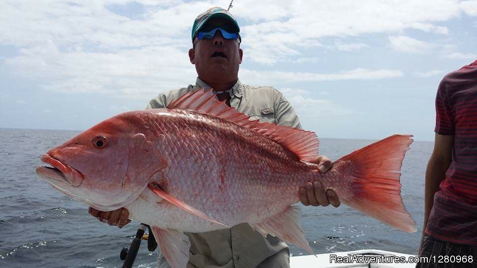 Fired Up Charters Red Snapper | Fired Up Fishing Charters | Image #7/13 | 