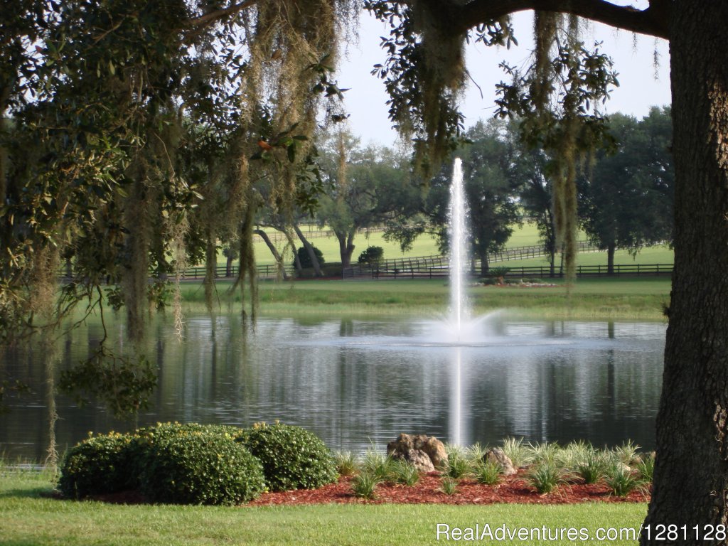 Grand Oaks Resort & Museum Entrance | Grand Oaks Resort | Lady Lake, Florida  | Campgrounds & RV Parks | Image #1/20 | 