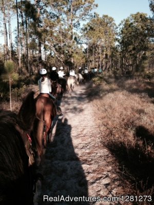 Gulfside Trail Rides, LLC | Santa Rosa Beach, Florida | Horseback Riding & Dude Ranches