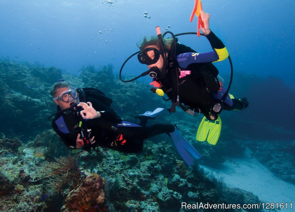 Discovery Dive World | Image #2/11 | 