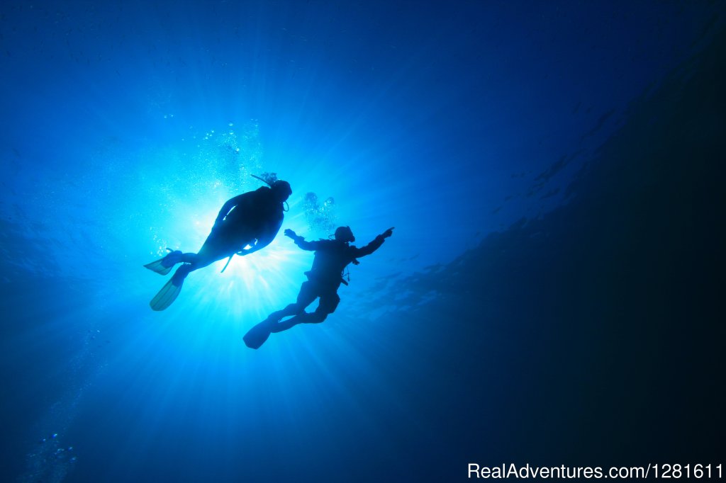 2 Divers Underwater | Discovery Dive World | Image #4/11 | 
