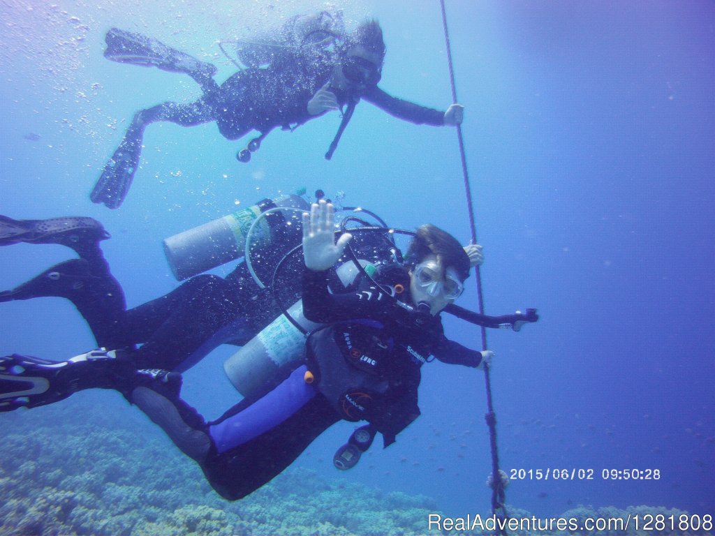 Keiki Divers | Torpedo Tours | Image #4/6 | 