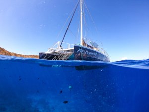 Kai Kanani Sailing | Makena, Hawaii | Scuba Diving & Snorkeling