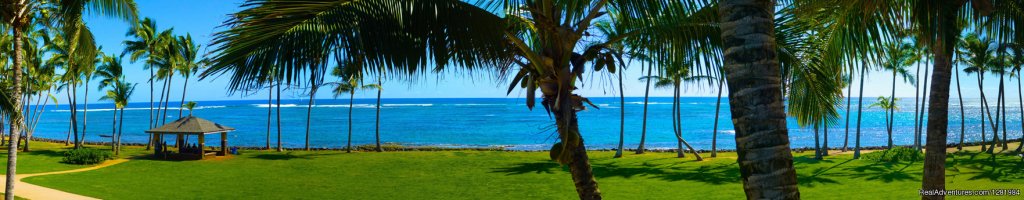 The Path, The Pavillion, the Pool...oops, the Blue Lagoon. | Kauai Beach House Hostel | Image #5/5 | 