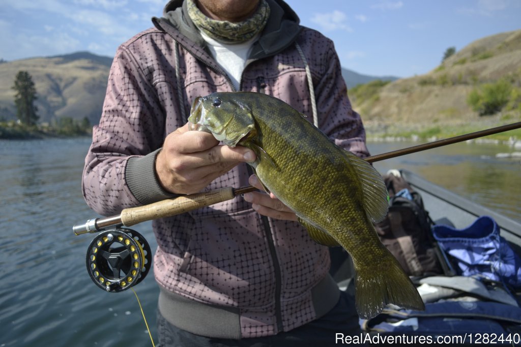 Fly fishing for Bass | Mountain River Outfitters | Image #5/9 | 