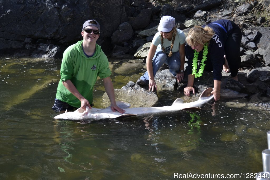 Hells Canyon Sturgeon | Mountain River Outfitters | Image #6/9 | 