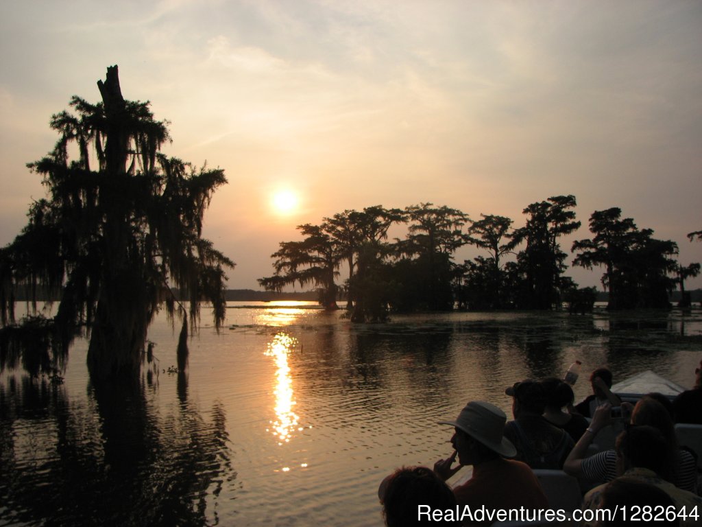 Eco-swamp tours at Cajun Country Swamp Tours | Image #7/14 | 