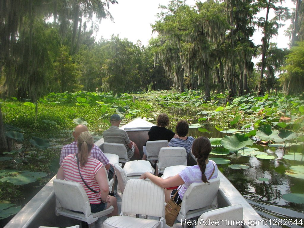 Eco-swamp tours at Cajun Country Swamp Tours | Image #14/14 | 