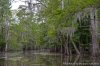 The Last Wilderness Swamp Tours | Bayou Sorrel, Louisiana