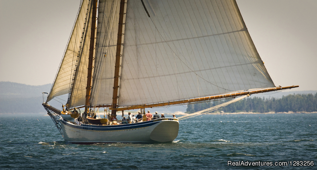 The Maine Windjammer Association Photo