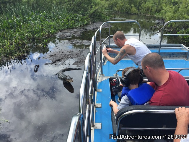 'BJ'S Airboat Adventures' Mother alligator with toot