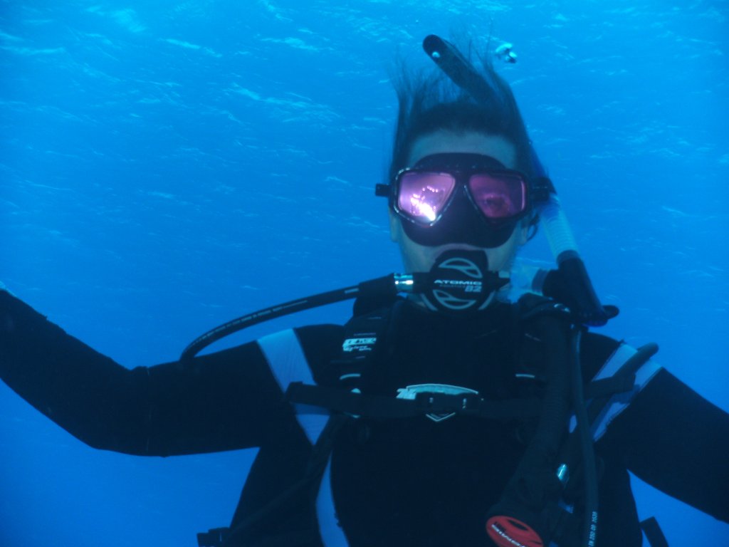 Diving Is Fun | Undersea Outfitters | Image #2/4 | 