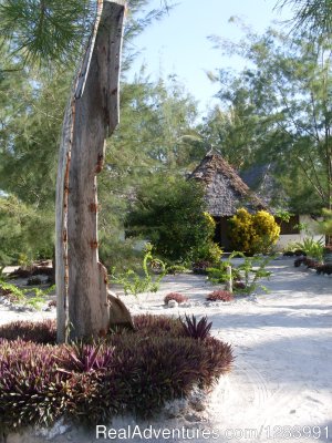 Relax in peaceful Kae Zanland | Zanzibar, Tanzania | Bed & Breakfasts