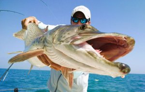 Mr. Muskie Charters | Saint Clair Shores, Michigan | Fishing Trips