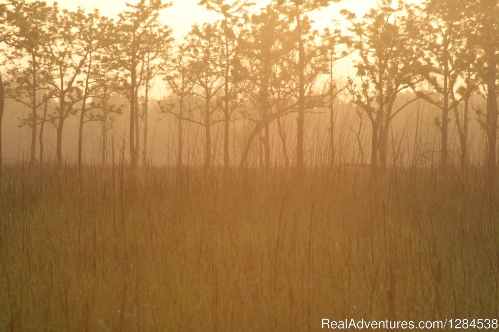 Sunset In Terai Arc Landscape | Terai Arc Landscape Adventures | Bareilly, India | Wildlife & Safari Tours | Image #1/18 | 