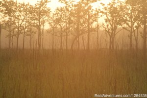 Terai Arc Landscape Adventures | Bareilly, India | Wildlife & Safari Tours