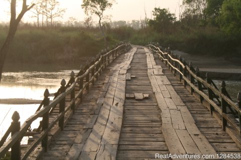 A Bridge To Far At Dudhwa
