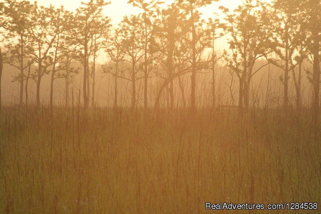 Terai Arc Landscape Adventures Photo