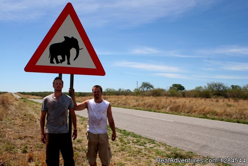 Beware Elephants | Wild Wind Safaris | Image #2/26 | 