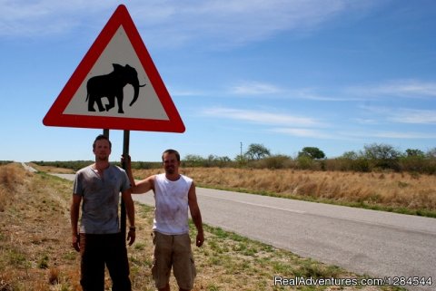 Beware Elephants