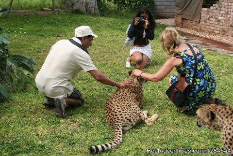 Otjitotongwe Cheetah farm