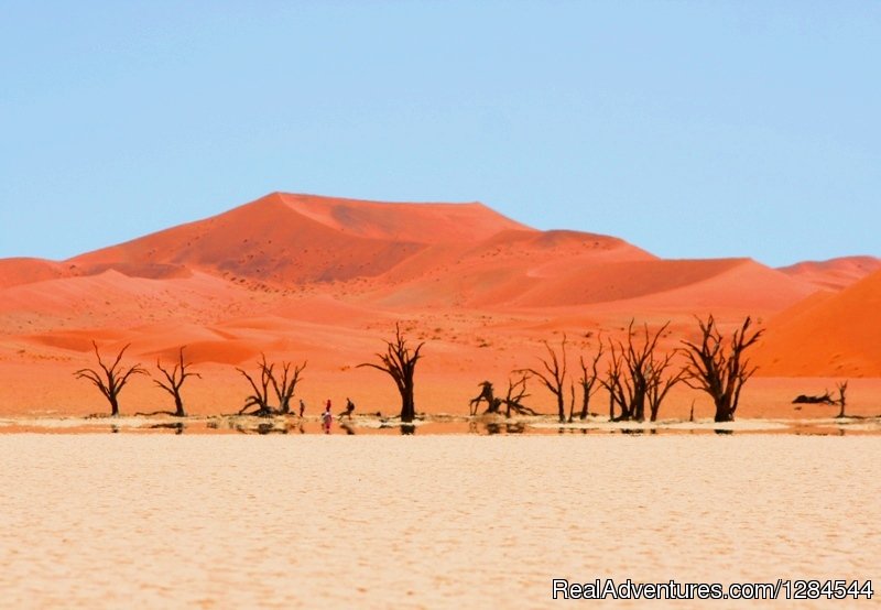Dead Vlei in the Namib Desert | Wild Wind Safaris | Image #24/26 | 