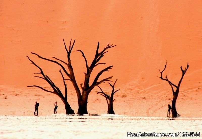 Dead Vlei - the Namib Desert | Wild Wind Safaris | Image #26/26 | 