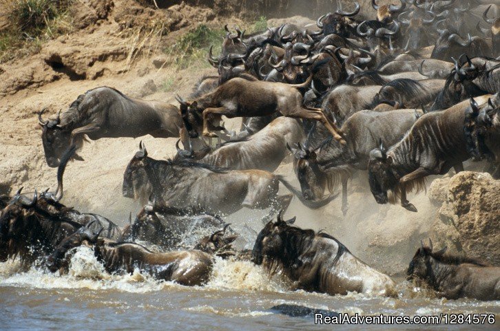 3 Day Masai Mara Safari Package | Nairobi, Kenya | Wildlife & Safari Tours | Image #1/3 | 